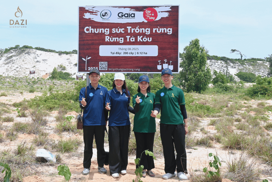 Khách Sạn Dazi Signature – Trái Tim Xanh Giữa Lòng Sài Gòn